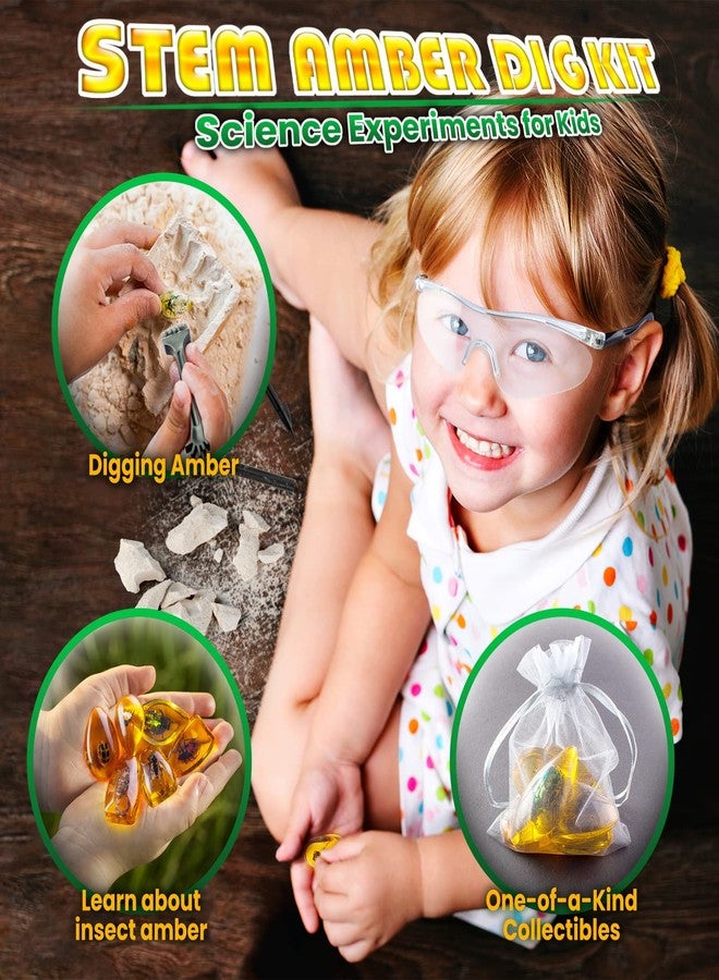 GobiDex Amber Dig Kit-Artificial Insect Resin, Excavate 6 Insects Specimens, STEM Geographic Educational Bugs Toys, Excavation Toys for Fun Bugs Party Favors, Science Kits for Kids Age 6-8 8-12 - Image 4